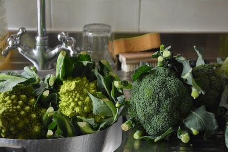 Both romanesco and better-known calabrese broccoli work equally well.