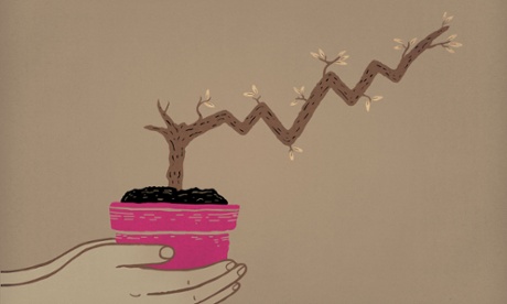 Plant growing in a pot