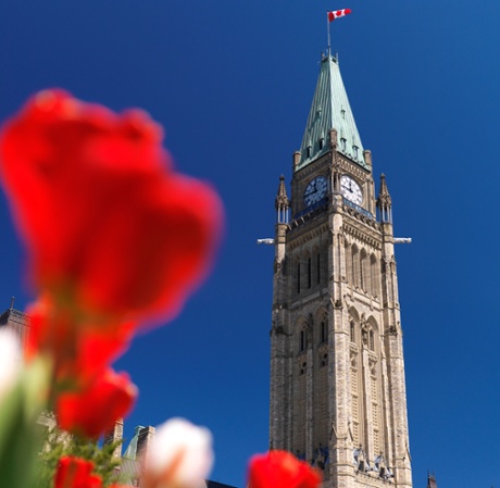The Peace Tower on Parliament Hill in Ottawa, Ontario, Canada