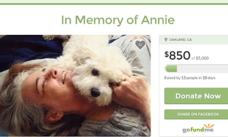 in memory of annie