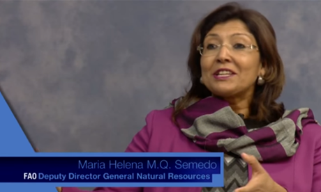 Maria Helena Semedo, UNFAO Deputy Director-General describes the importance of agriculture in addressing climate change at COP21
