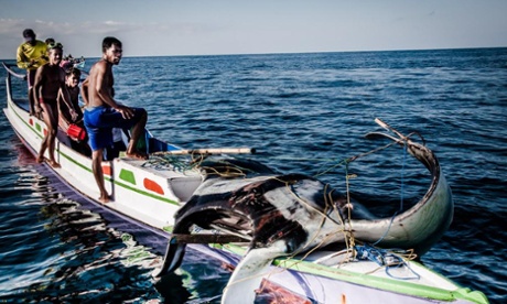 An oceanic manta ray caught by fishermen from the village of Lamakera in eastern Indonesia. 