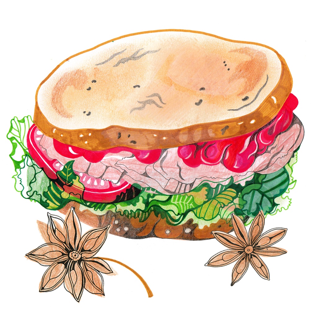 Turkey sandwich lllustration