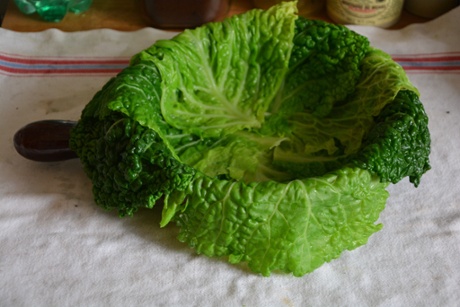 Cabbage 'oak tree' cake