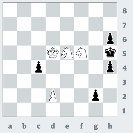 Chess 3419