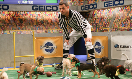 puppy bowl 11