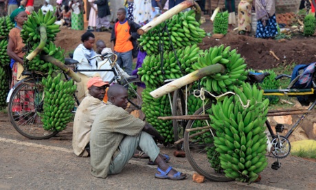 Bananas for sale at a village market in Uganda.