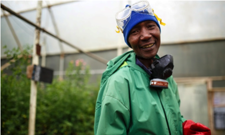 Sprayer, Lawrence Mwangi.