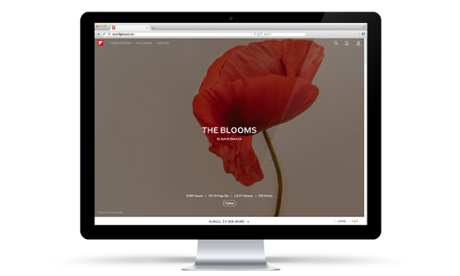 Flipboard's magazines will be part of its new website.