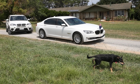 Rex the dog on the property 