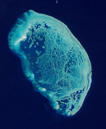 Reef in the Southern Gulf of Mexico
