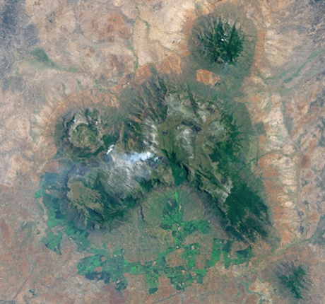 The Forests of Mulanje