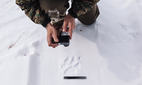 A tiger cub's print.