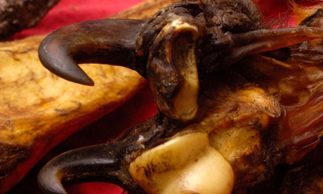 Tiger claws together for sale as a supposed medicine in a market near Fugong in Yunnan province.