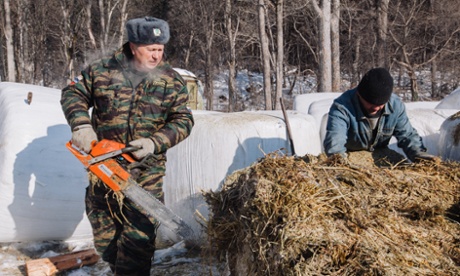 Gamekeeper Anatoly Andreyev prepares food for animal feeding grounds.