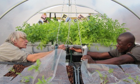 A hydroponics demonstration in Knowle, Bristol.