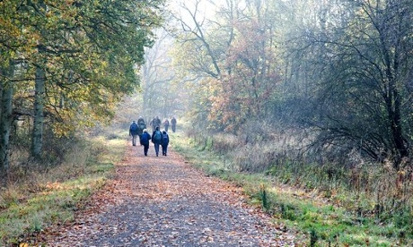 Fineshade Woods, run by the Forestry Commission