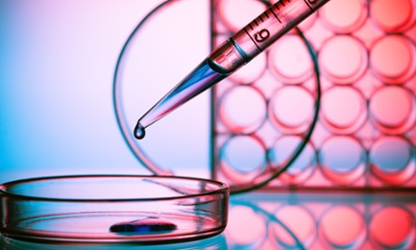 Researchers at the University of Bath have been experimenting with the yeast <em>Metschnikowia pulcherrima</em>, which has a similar oil yield to palm oil.