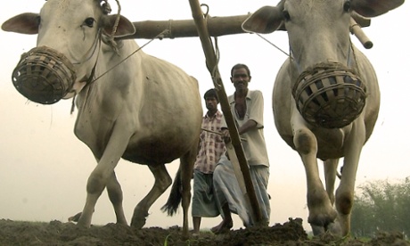 In Bangladesh financing schemes have been credited with nearly doubling agricultural outputs and farmers’ incomes.
