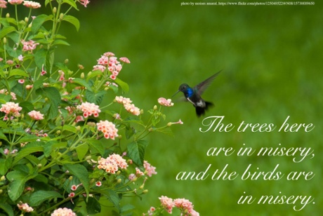 Werner Herzog inspirational poster