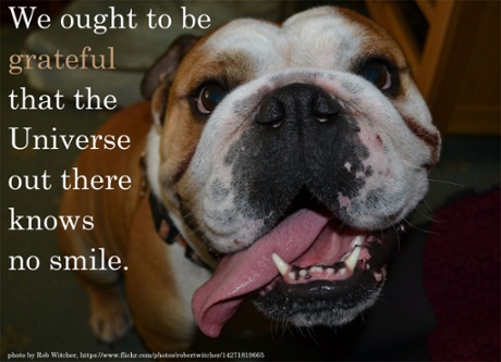 Werner Herzog inspirational poster