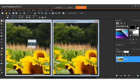PaintShop Pro