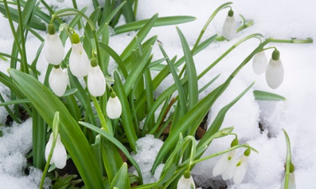 judywhite / Garden Photos.com Address: 211 Log Tavern Drive, Milford, PA, 18337, USA Contact: info@gardenphotos.com, 570.686.1200, http://gardenphotos.com