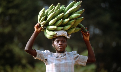 Voluntary corporate initiatives have not gone far enough to eradicate forced and child labour from supply chains