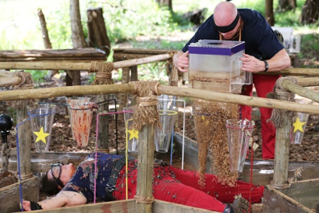 I'm a Celebrity Get Me Out of Here Australia