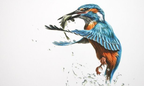 Kingfisher
