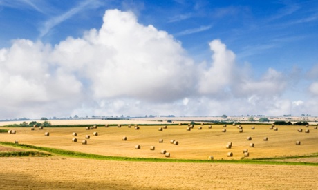 The research is based around a hay bale city.