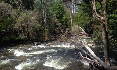 Lake St Clair  - Shadow Lake Circuit Walk.
