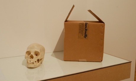 Christine Borland, Second Class Male/Second Class Female