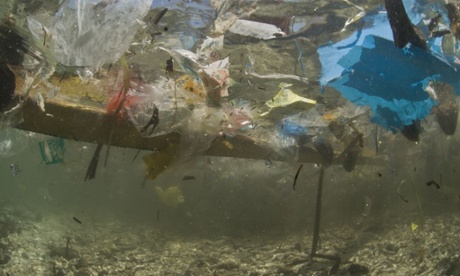 Plastics pollution