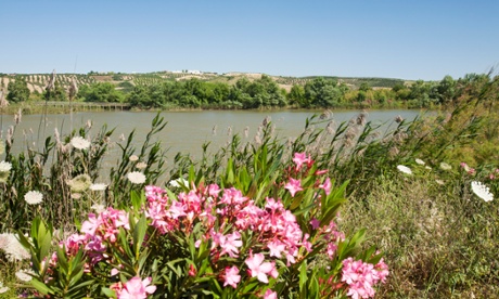 A wetland nature reserve on a green corridor alongside the River Guadiamar, near Sanlucar La Mayor, Andalucia, Spain, 24 May 2011.