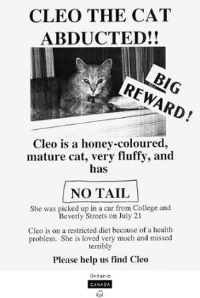 One of the pet notices from Lost: 'Find-my-cat posters tend to be lighter in tone.'