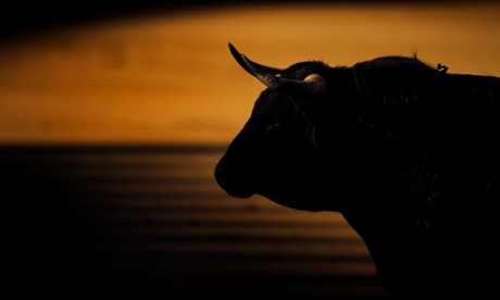 A bull at the Las Ventas bullring in Madrid, Spai