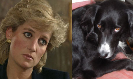 Princess Diana and Maisie the dog