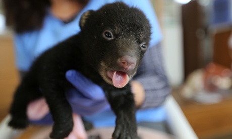 Photo highlights of the day