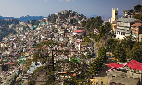 Shimla