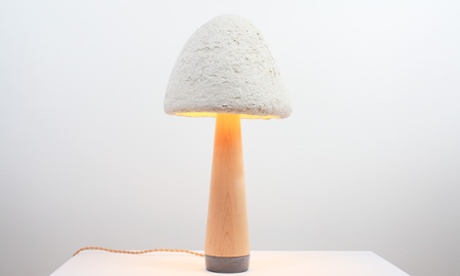 MushLume lamp