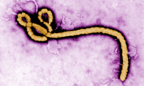 Cases of the Ebola virus have dropped significantly in Liberia.