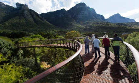 Visitors walk along the new Boomslang at Kirstenbosch botanical gardens.