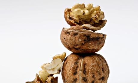 Pile of walnuts
