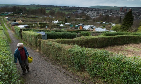 Hagg Lane allotments at Crosspool overlooking Stannington in the Sheffield Hallam constituency.