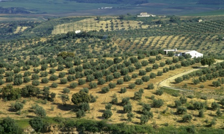 Jemima Kiss spent long days in the hills, meditating and rediscovering the simplest of pleasures.