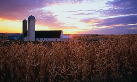 Scoular, an Omaha-based company that trades commodities such as corn, was swindled out of $17m in an email scam last year.