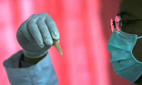 Researcher examines sample