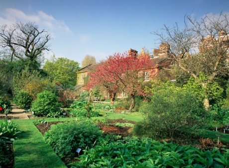 Chelsea Physic Garden.
