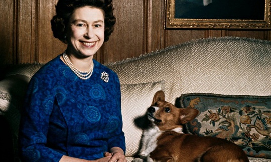 Her Majesty and the Curious Mystery of the Disappearing Corgis